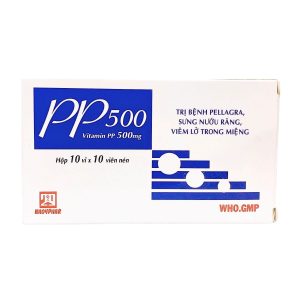 VITAMIN PP 500MG (10 VỈ x 10 VIÊN) NADYPHAR