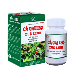 Cà Gai Leo Tuệ Linh