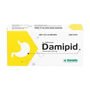 DAMIPID 100 (3 VỈ x 10 VIÊN) DANAPHA